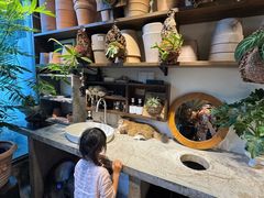 -自由生长植物工作室(深港花卉中心店)