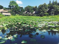 -四季酒店下午茶