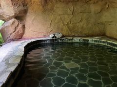 -韶关经律论国际酒店温泉