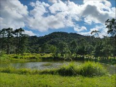 -海南热带雨林国家公园吊罗山景区