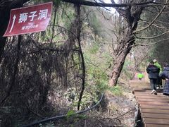 -诺水河