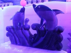 -珠海海泉湾神秘岛亲子乐园