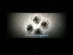 -万象影城(杭州万象城IMAX激光店)