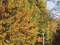 -永定河休闲森林公园