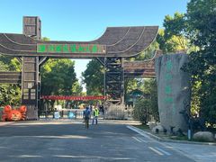 -溱湖国家湿地公园