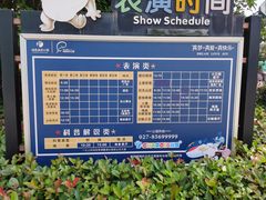 -海合安武汉极地海洋公园
