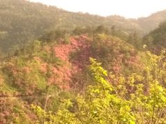 -木兰云雾山