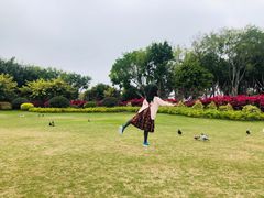 -白鹭洲公园