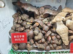 -太婆天府山珍酒楼(亚运村店)