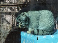 -青藏高原野生动物园