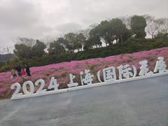 -春花秋色城市公园