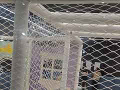 -小蓝鲸游泳培训基地(石景山店)
