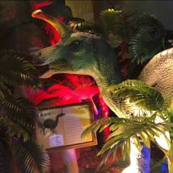 -恐龙探索乐园(磁器口店)