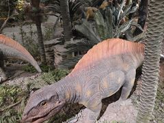 -湖南省地质博物馆