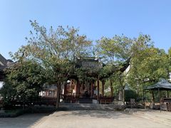 -龙天小镇