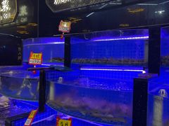 -亿牌牌东北烧烤(博物馆旗舰店)