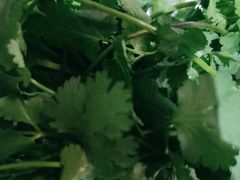-焯牛潮汕牛肉火锅(云峰街创始店)