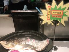 -农家大院(纪王店)