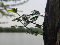-石湖景区