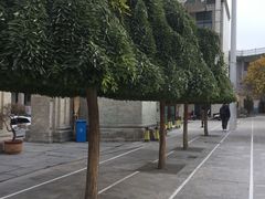 -西宁市东关清真大寺