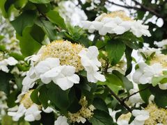 -天鹅湖体育公园