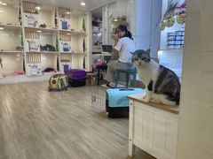 -李小姐の猫咖啡馆(五角场店)