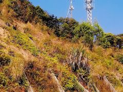 -火炉山森林公园