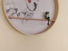 -廖姥爷美蛙鱼头火锅(小龙桥店)