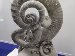-贝壳王国博物馆