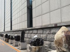 -中国地质博物馆