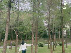 -晓港公园