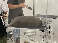 -comecome来吧宠物(奥克斯中心店)