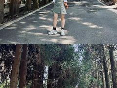 -武陵山森林公园