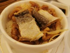 -美心皇宫(沙田大会堂店)