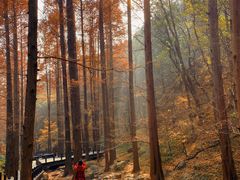 -国家植物园南园