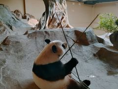 -宁波野生动物园