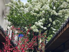 -王捌小院(红花坡店)