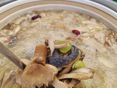 -山菌美食苑(振兴路店)