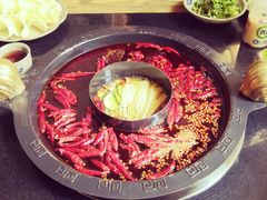 -渝大狮毛肚老火锅(普陀店)