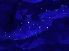 -怀托摩萤火虫洞