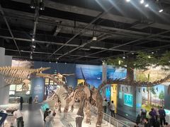 -国家自然博物馆