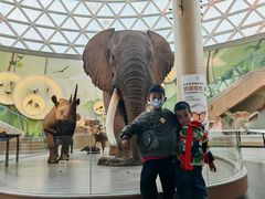 -陕西自然博物馆