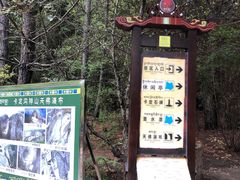 -卡定沟景区
