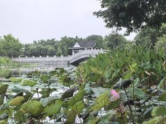 -映月湖公园
