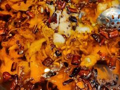 水煮鱼-日进一片海.生腌海鲜火锅.宵夜烧烤(三里屯总店)
