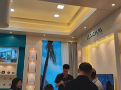 -正斗潮州卤鹅