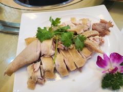 白切文昌鸡-墨脱石锅椰子鸡•香草鸭•东山羊(大东海店)