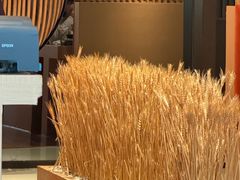 -西村日本料理(香格里拉饭店)