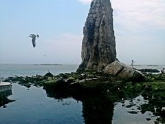 -海驴岛(荣成市)
