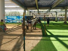 景点-南宫五洲植物乐园